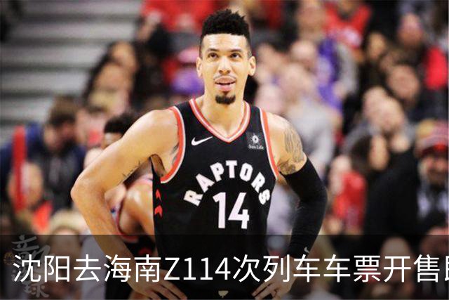 沈阳去海南Z114次列车车票开售即售罄，网友称“提前半个月根本抢不到”，12306回应